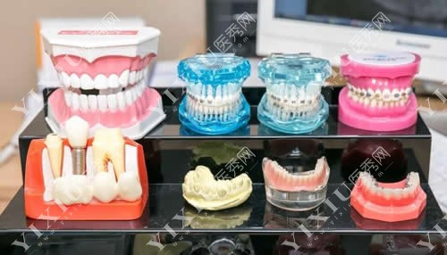 口腔医院牙齿模型实拍图