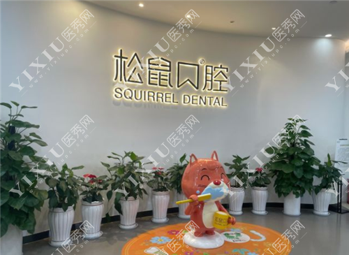 昆明松鼠口腔环境图
