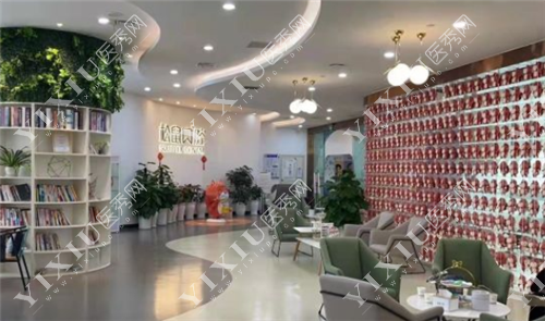 昆明松鼠口腔展示墙