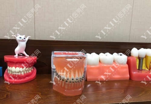 口腔医院牙齿矫正模型图