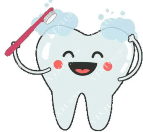 移植牙齿和种植牙齿哪个好?自体牙移植比种植牙便宜吗?(图3) 移植牙齿和种植牙齿哪个好?自体牙移植比种植牙便宜吗?(图3)