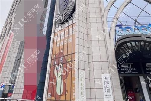 昆明松鼠口腔外观