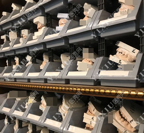北京佳美口腔牙齿模型展示柜