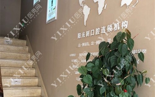 廊坊阳光树口腔怎么样？正规口腔，看牙不贵，医生有实力！(图1)