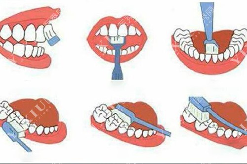 上海奉贤区牙科收费及医疗机构分享:看完这篇文章就足够(图6) 上海奉贤区牙科收费及医疗机构分享:看完这篇文章就足够(图6)
