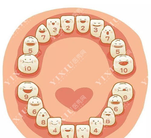 6龄齿图片大全图图片