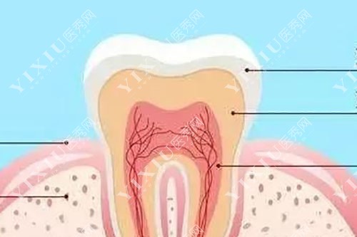 广元苍溪伏氏口腔实力分享:环境硬件+拿手项目介绍!(图3) 广元苍溪伏氏口腔实力分享:环境硬件+拿手项目介绍!(图3)