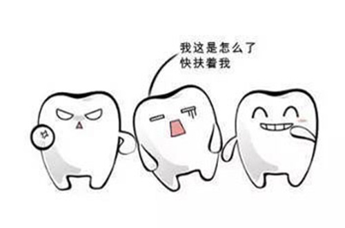 牙齿示例图