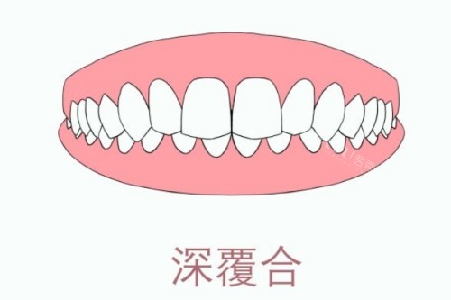 大连美尔口腔医生资料请查询！大家关注的王蕾／韩城等医生均在内(图2)