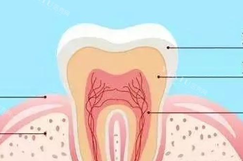 线上便捷了解牙齿问题：探秘在快节奏生活中的靠谱牙医微信群(图2)