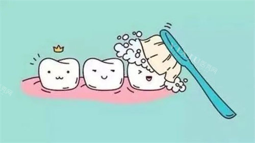 牙齿清洁展示图
