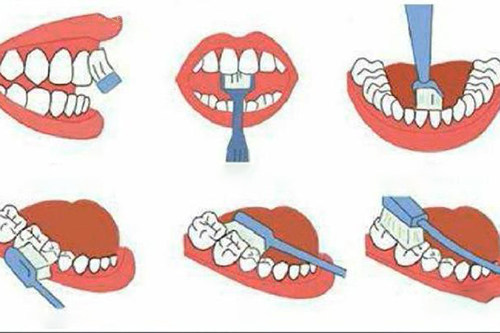 刷牙步骤图