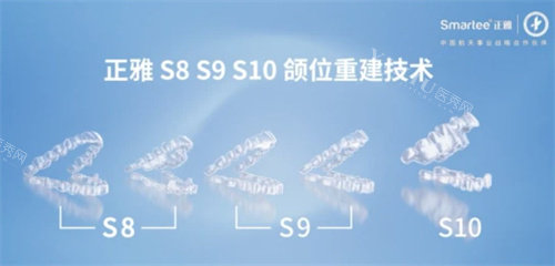 正雅S8-S10不同系列示意图