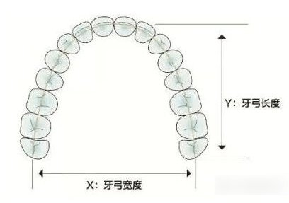 牙弓尺寸照片