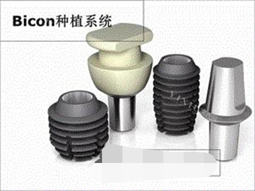 美国百康植体示意图