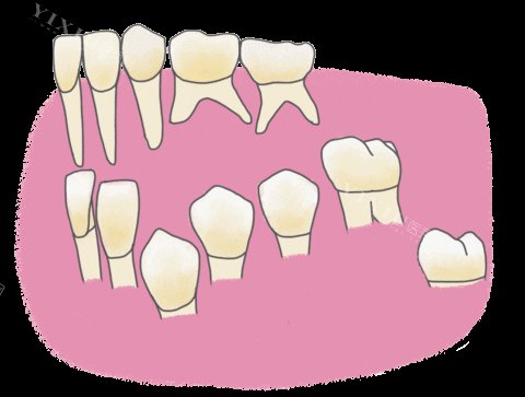 儿童乳牙生长