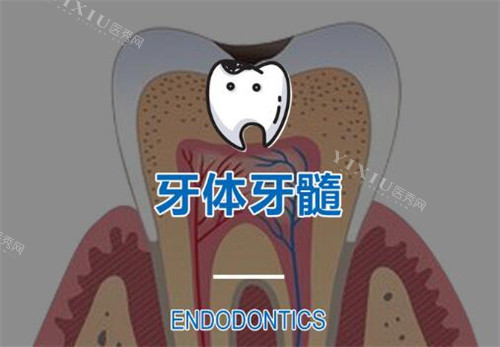 根管治疗改善图