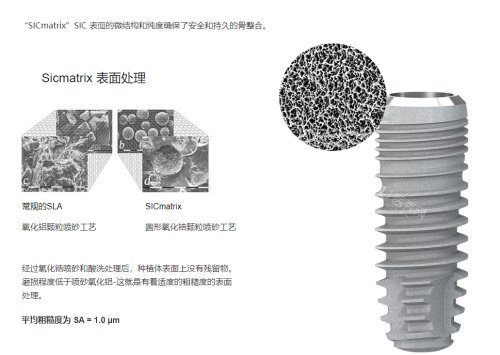 Sic matrix表面处理工艺图示