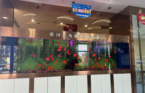 诸暨牙名仕口腔环境图展示