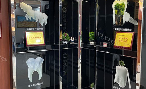 武汉牙达人口腔牙齿模型展示