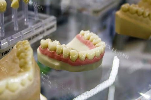 荆门拜耳口腔牙科材料参考图