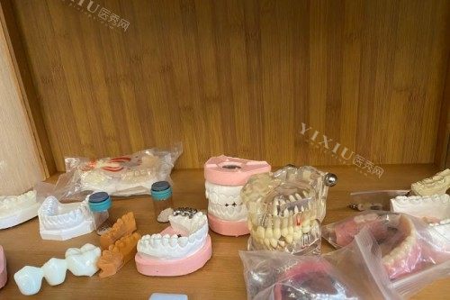 上虞曹琦口腔牙齿模型