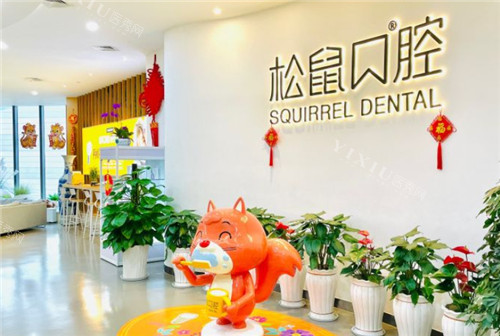 昆明松鼠口腔环境图示