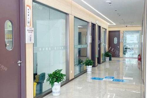 荆州中诺口腔走廊图
