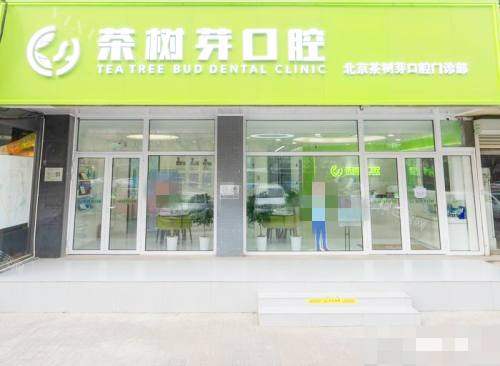 北京茶树芽口腔外观