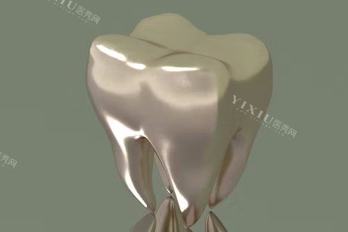 假牙制作展示图