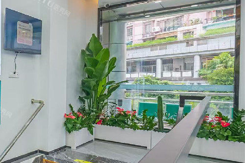 金华莱恩口腔楼梯间环境