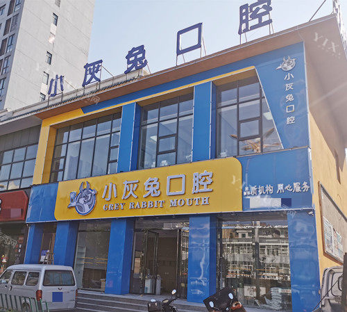 荆门小灰兔口腔外观