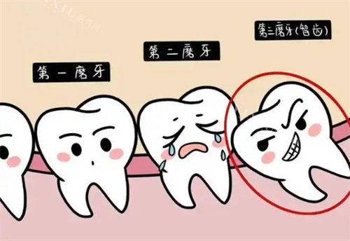 智齿卡通示图