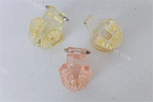 义齿材料展示宣传