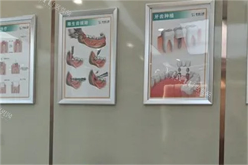 三亚舒诺口腔展示墙