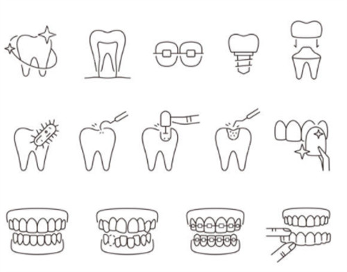 牙齿类型卡通图