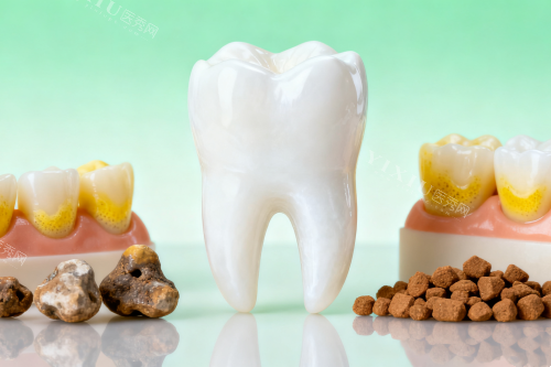 西安土门补牙避坑实用指南：老西安人推荐 10 家牙科机构，补牙牢固且价格透明，助力安心看牙(图1)