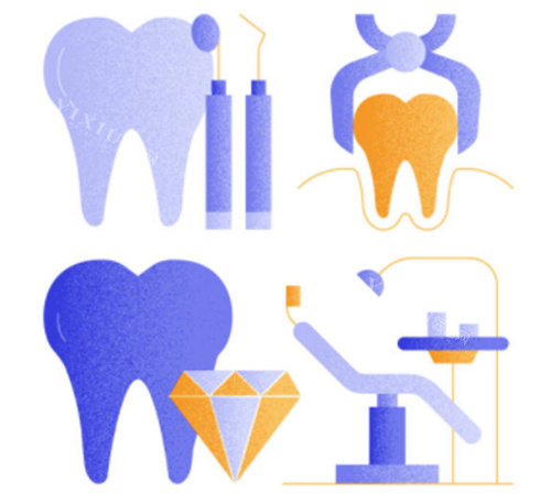 种植牙各个模型图