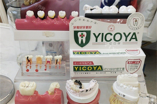 东莞寮步莞口口腔牙齿模型