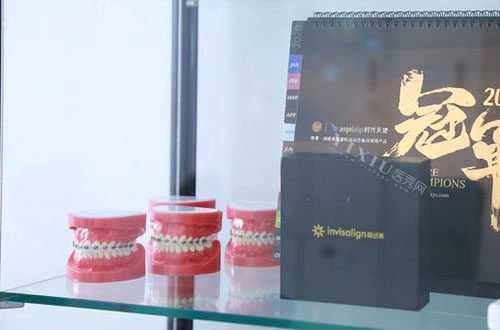 成都美莱口腔牙齿模型展示