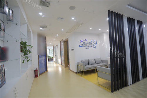 长治瑞波特（兔子）口腔环境图