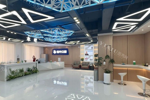 长葛钻叶口腔环境图