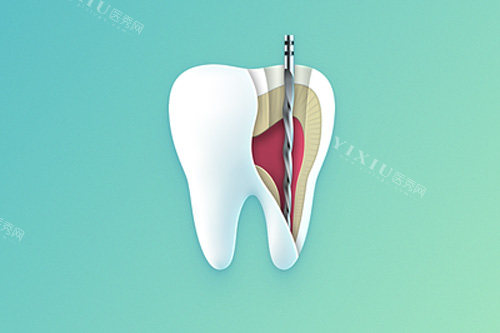 牙齿内部示意图