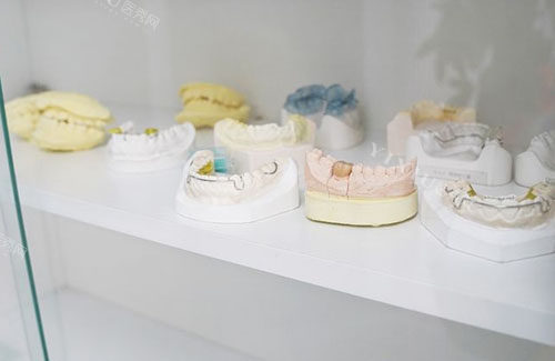 杭州牙贝健口腔牙齿模型展示