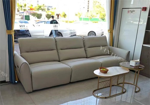 海口植之道口腔万达店沙发