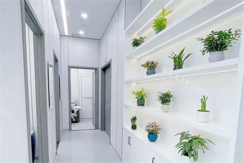 宁波好牙口腔走廊