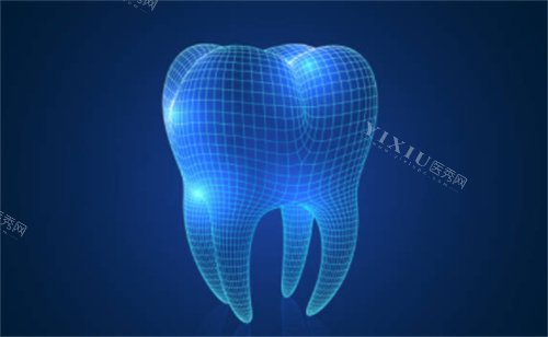 牙齿建模模型图