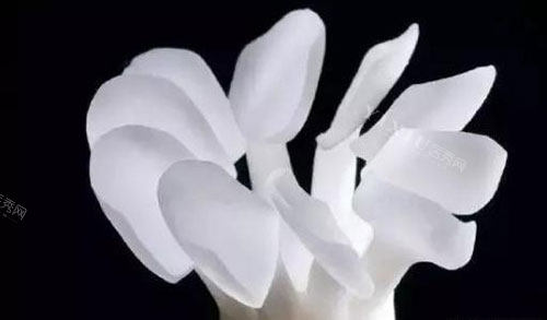 牙齿树脂贴面示意图