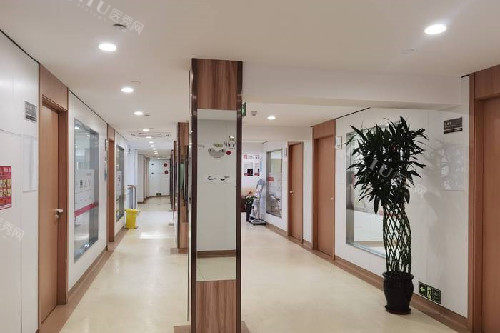 上海康沈口腔走廊环境