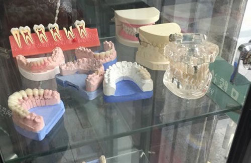 深圳葛景辉口腔牙齿模型展示图